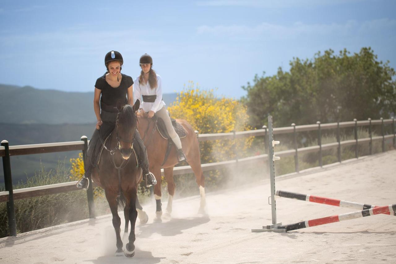 Podere Val D'Orcia - Tuscany Equestrian Сартеано Экстерьер фото