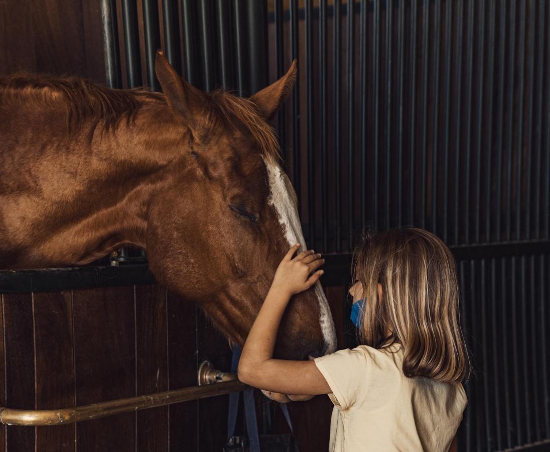 Podere Val D'Orcia - Tuscany Equestrian Сартеано Экстерьер фото